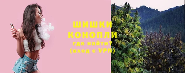 ешки Богданович