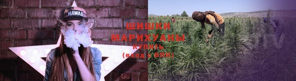 ешки Богданович