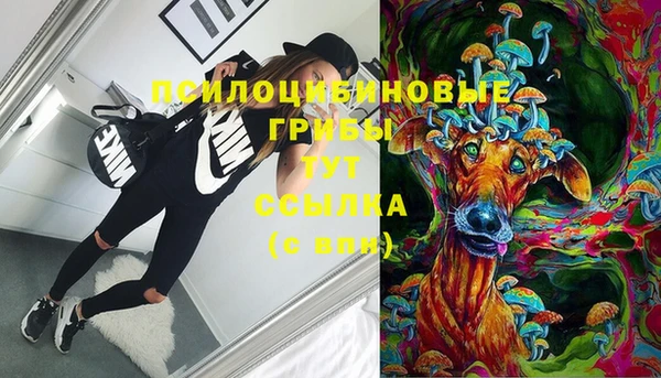 ешки Богданович