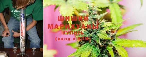 ешки Богданович