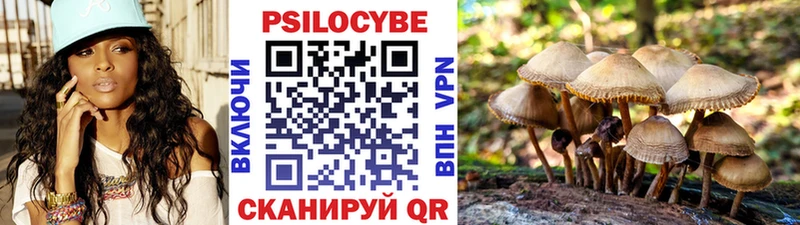 Галлюциногенные грибы ЛСД  Среднеуральск 